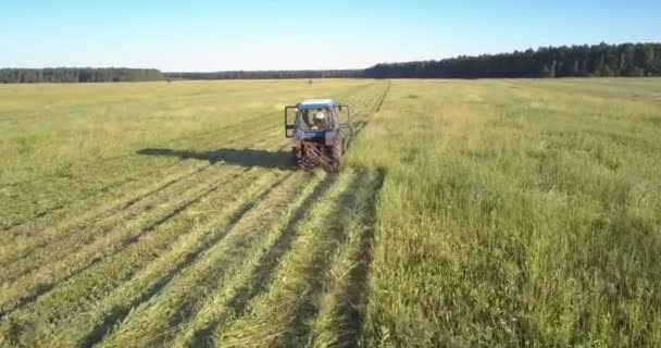 Trekker met maaier gras afsnijden en dat sporen — Stockvideo