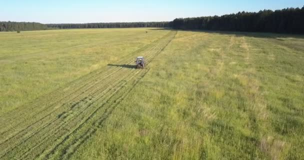 Traktor mit Mäher mäht Gras für Heufahrt auf Feld — Stockvideo