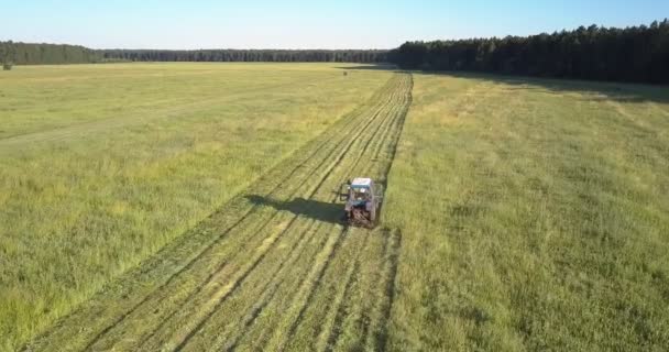 Kosiarz działa na pole koszenie uprawianych traw w lecie — Wideo stockowe