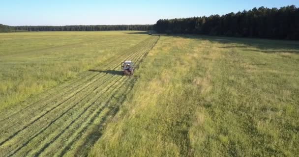 Máquina de cortar drives cortando grama em terras agrícolas — Vídeo de Stock