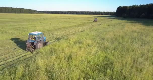Haymakers streven naar elkaar gras afsnijden — Stockvideo