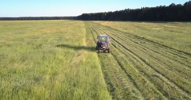 Сенокос косит траву, оставляя следы на поле под голубым небом. — стоковое видео