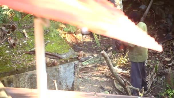 Indian worker cuts down thin tree with chainsaw under roof — Stock Video