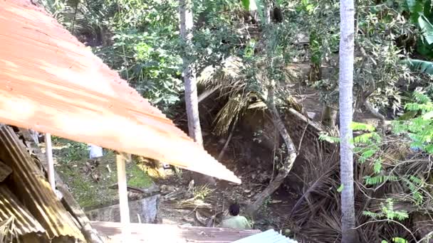 Lokale mannen lopen onder palm bomen weergave van dak — Stockvideo