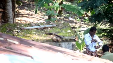 Hintli adam evi arasında palm Bahçe üst görünüm tarafından standları