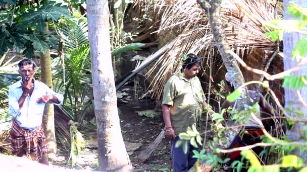 Indian men stand smoking by house by palm trees upper view — Stock Video