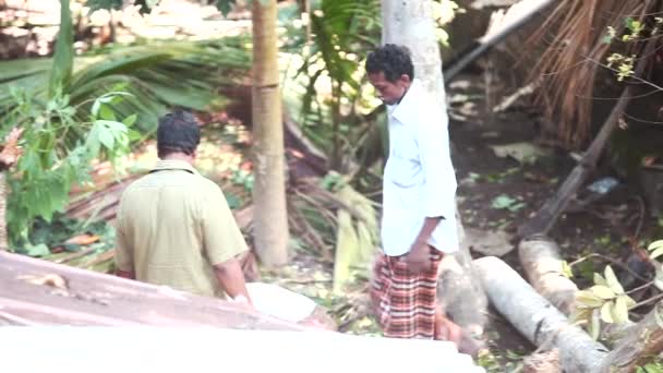 Trabajadores indios apilan troncos de palmeras en sombra de jardín — Vídeos de Stock