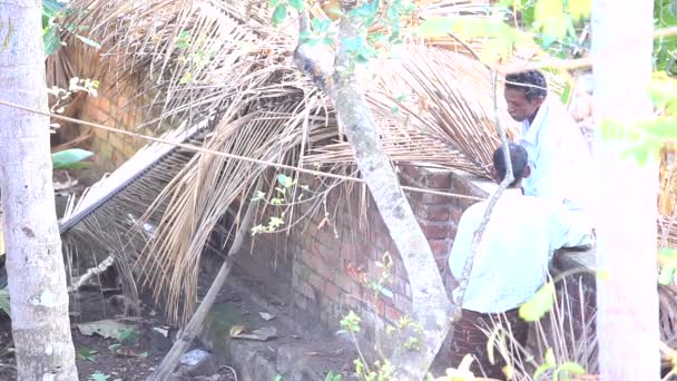 Işçi tuğla çit yağsız kesik palmiye ağaç dalları tarafından konuşmak — Stok video