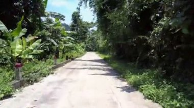 yeşil ağaçlarda beyaz fren ve kırmızı direkler ile arazi yolu