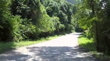 kırmızı beyaz yeşil işaretler yakın ağaç gölgeler ile orman yolu