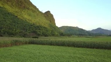 dağlar ve gökyüzüne karşı yeşil alan üzerinde hava hareketi