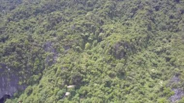 parkta eski dağ kapsayan üst görünüm tropikal orman