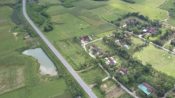 Vista aerea villaggio vicino strada circondata da campi lussureggianti — Video Stock