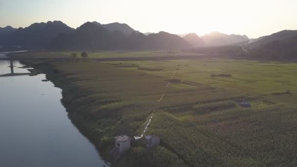 Вид зверху яскраве сонце світить на арахісових полях біля річки — стокове відео