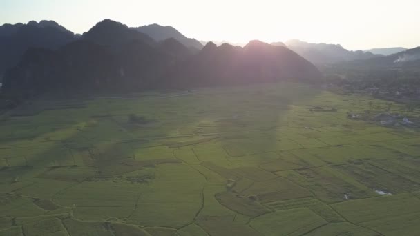 Campos de cacahuetes de movimiento aéreo divididos en parcelas cerca del río — Vídeos de Stock