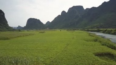 küçük mavi nehir çalıştıran havadan görünümü yeşil fıstık alanları