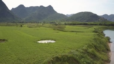 üst görünüm kişi alan küçük göl yakınında fıstık toplar