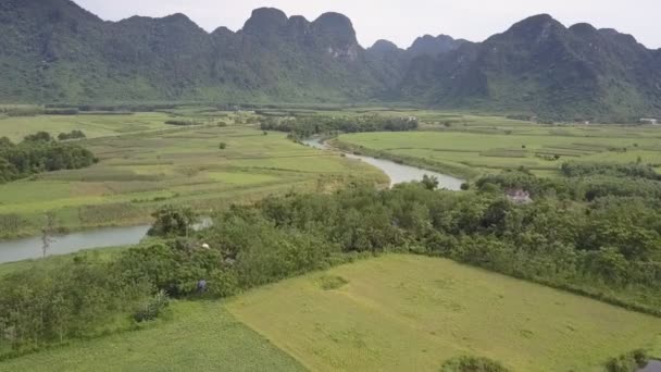 Vue supérieure rivière bleue avec des bancs de sable vert près des champs — Video