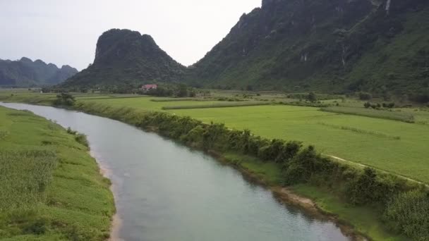 Movimiento superior desde el río que corre entre los campos de maní a la casa — Vídeo de stock