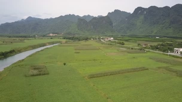Vista superior campos verdes entre el pequeño río y la carretera del campo — Vídeos de Stock