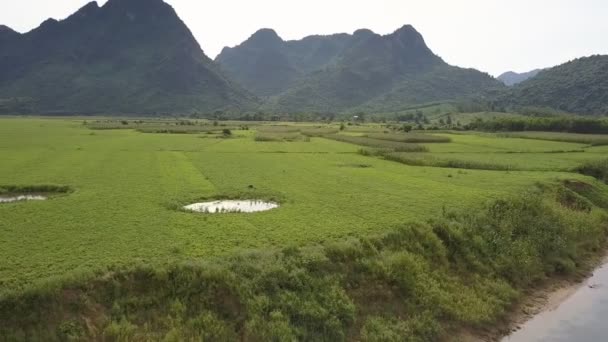 Kerek felsőrész mozgás tavak a zöld mező közelében folyóparton — Stock videók