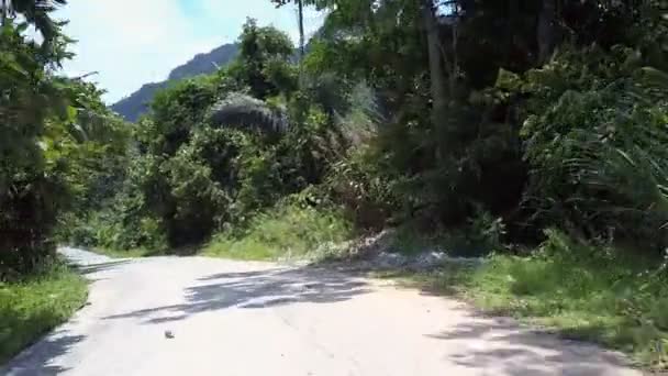 Weiße Straße durch grünen Wald mit großen Blättern, die vom Wind gewunken werden — Stockvideo