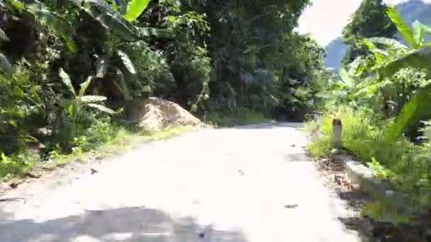 Camino blanco de las tierras altas con vueltas en contra de la colina forestal verde — Vídeo de stock