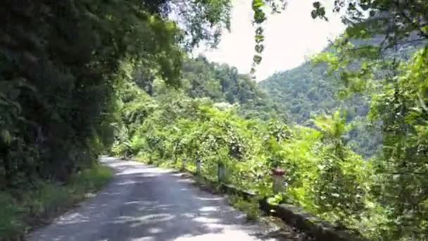Camino blanco pictórico con sombras de árboles en bosque verde — Vídeo de stock