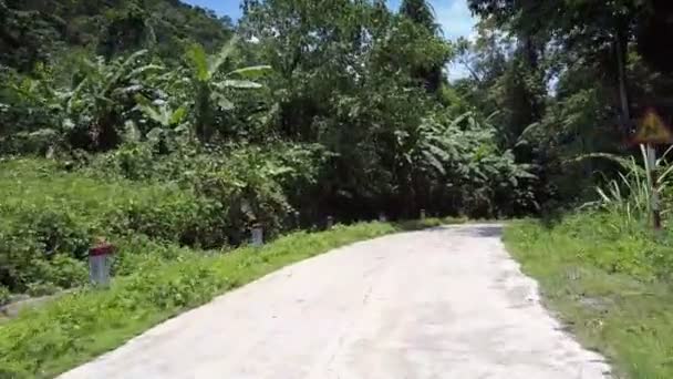 Strada di terra con cartello giallo e rosso nella foresta sotto il cielo blu — Video Stock