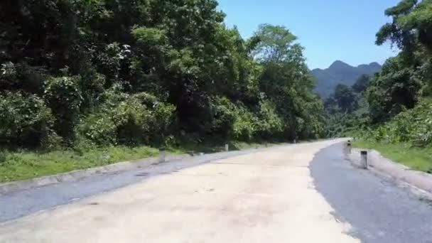 Highlandské silnice v zeleném lese se stromy pod modrým nebem — Stock video