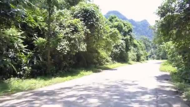 Strada della giungla con ombre di alberi e segni sotto cielo limpido — Video Stock