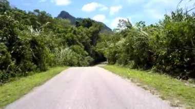 Yaz aylarında tepelere karşı yeşil ağaçlar arasında orman yolu
