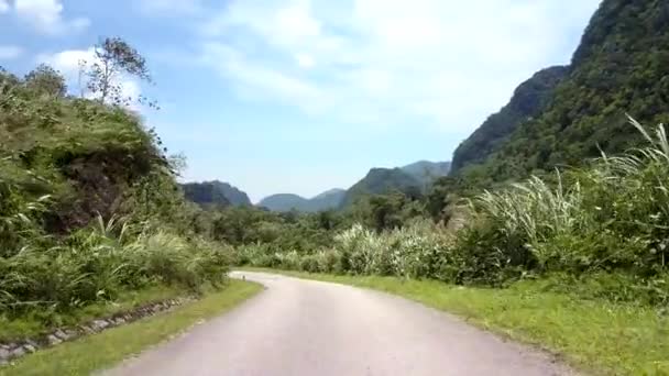 Tremenda estrada serrana sinuosa perto de árvores sob céu nublado — Vídeo de Stock