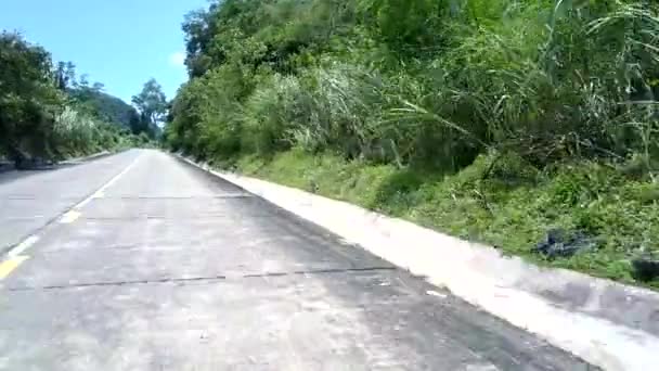 緑が密集した森のある石垣を越える高地道路 — ストック動画