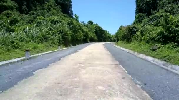 Estrada da selva com pólos na grama verde e sarjeta de chuva — Vídeo de Stock