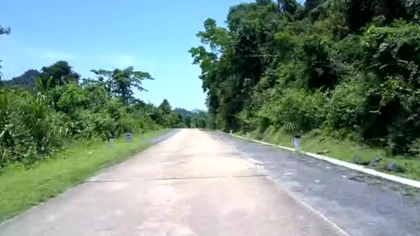 Carretera salvaje con postes negros y larga barrera gris en el bosque — Vídeos de Stock