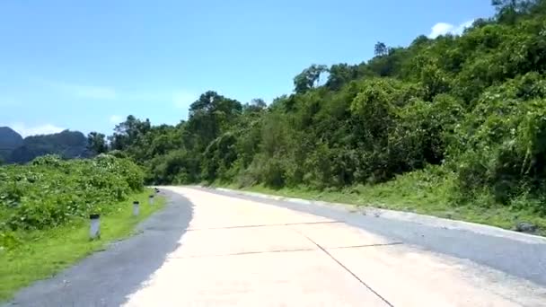 Grijze en witte kronkelende weg in de buurt van groene bomen in de zomer — Stockvideo