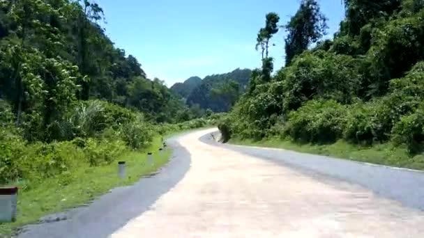 Long jungle road with black and white poles near green trees — Stock Video