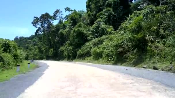 緑の木の影の棒および道路標識が付いている灰色の白い道 — ストック動画