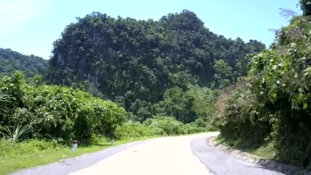 Дорога тропических лесов поворачивается зелеными деревьями и черными белыми полюсами — стоковое видео