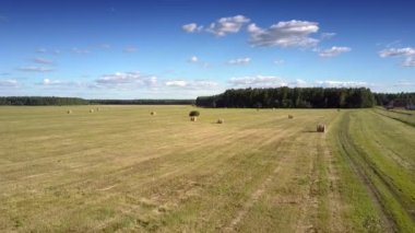 ormana karşı balyalar ile havadan görünüm saman hasat alan 