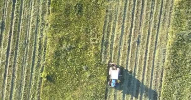 Farmland machine drives along field and mows grass — Stock Video