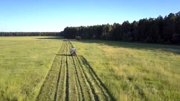 Heuschneider fährt auf Feld und schneidet Heugras ab — Stockvideo