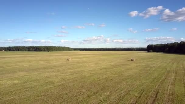 Повітряний рух над полем з тюками сіна проти лісу — стокове відео