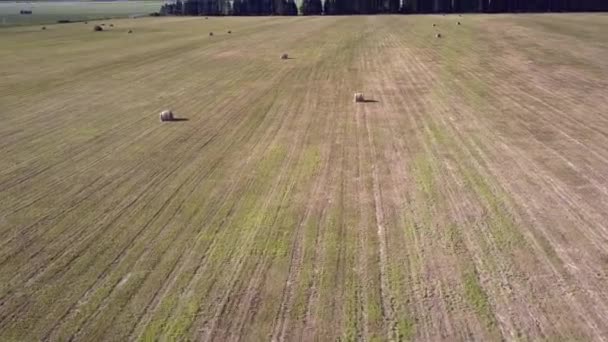 Flycam спускается к полю с упакованными рулонами сена возле дороги — стоковое видео
