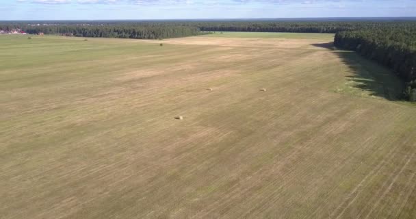 Сельский пейзаж с соломенными рулонами на поле — стоковое видео