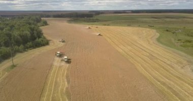 havadan görünümü modern altın buğday alanında çalışmaları birleştirir