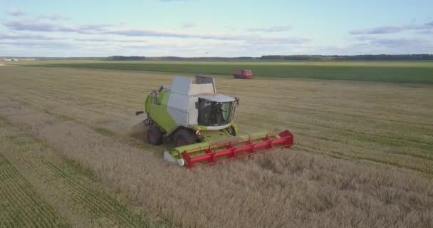 Camera verwijdert van Landbouwmachine in kalm tarwe veld — Stockvideo