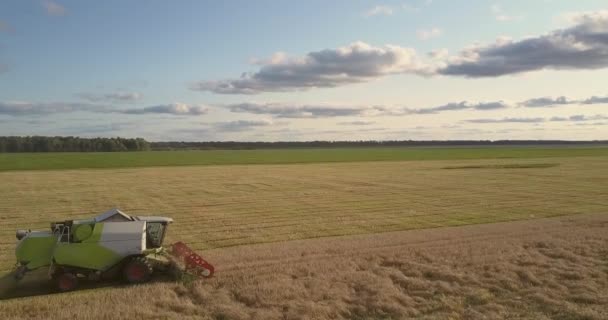 空中ビューは、プラットフォームの収穫穀物と組み合わせるフィールド — ストック動画