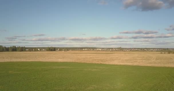 Panoramautsikt stora guld och gröna fält mot blå himmel — Stockvideo
